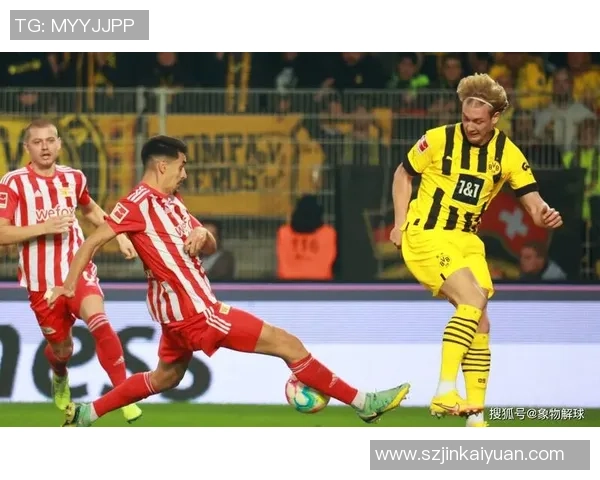 德甲联手支撑2029欧洲女子足球锦标赛申办，足球盛宴行将到来！